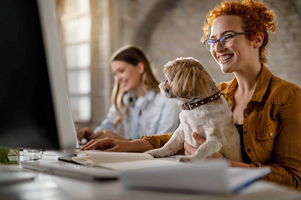 What Are the Most Effective Ways to Create a Pet-Friendly Space in a Home Office?